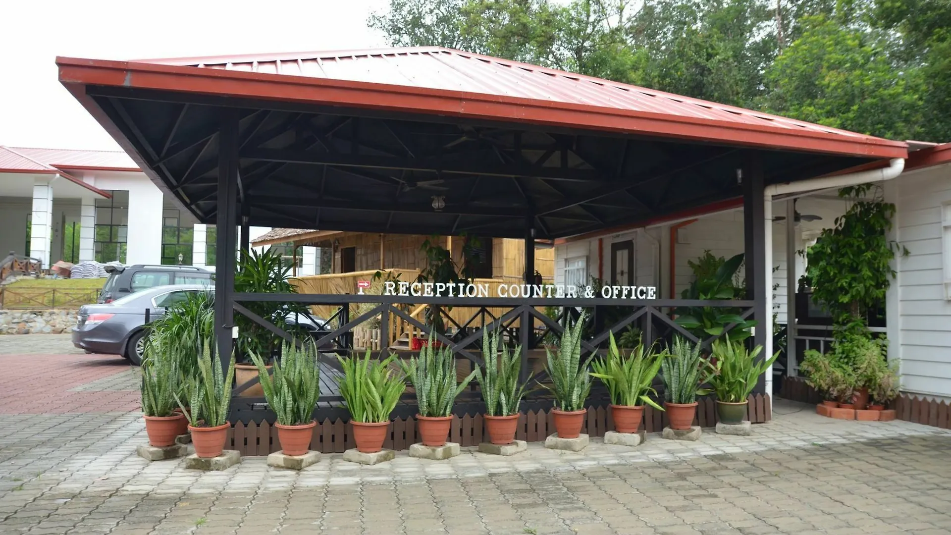 فندق Borneo Tree House كوتا كينابالو