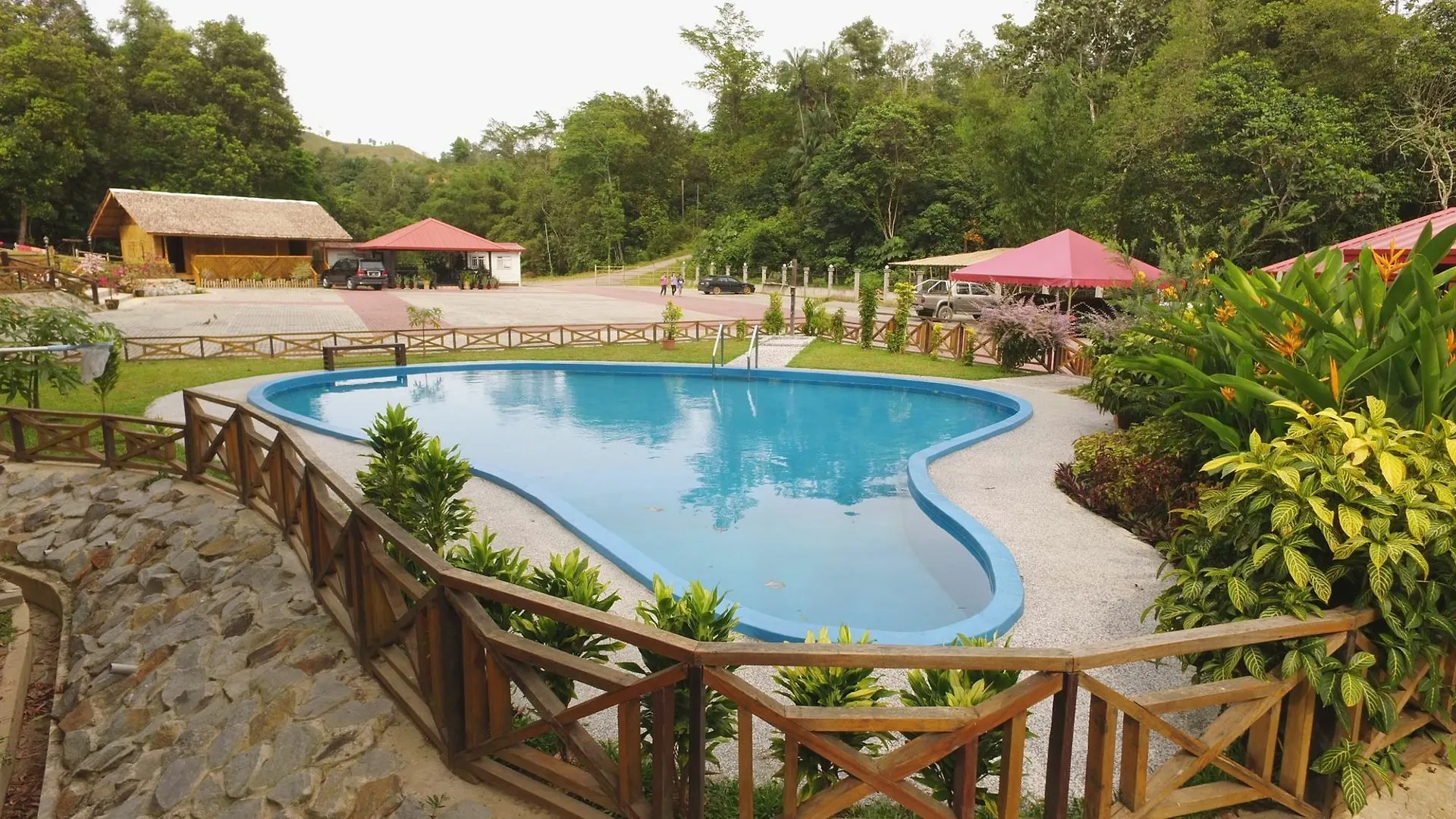 فندق Borneo Tree House كوتا كينابالو
