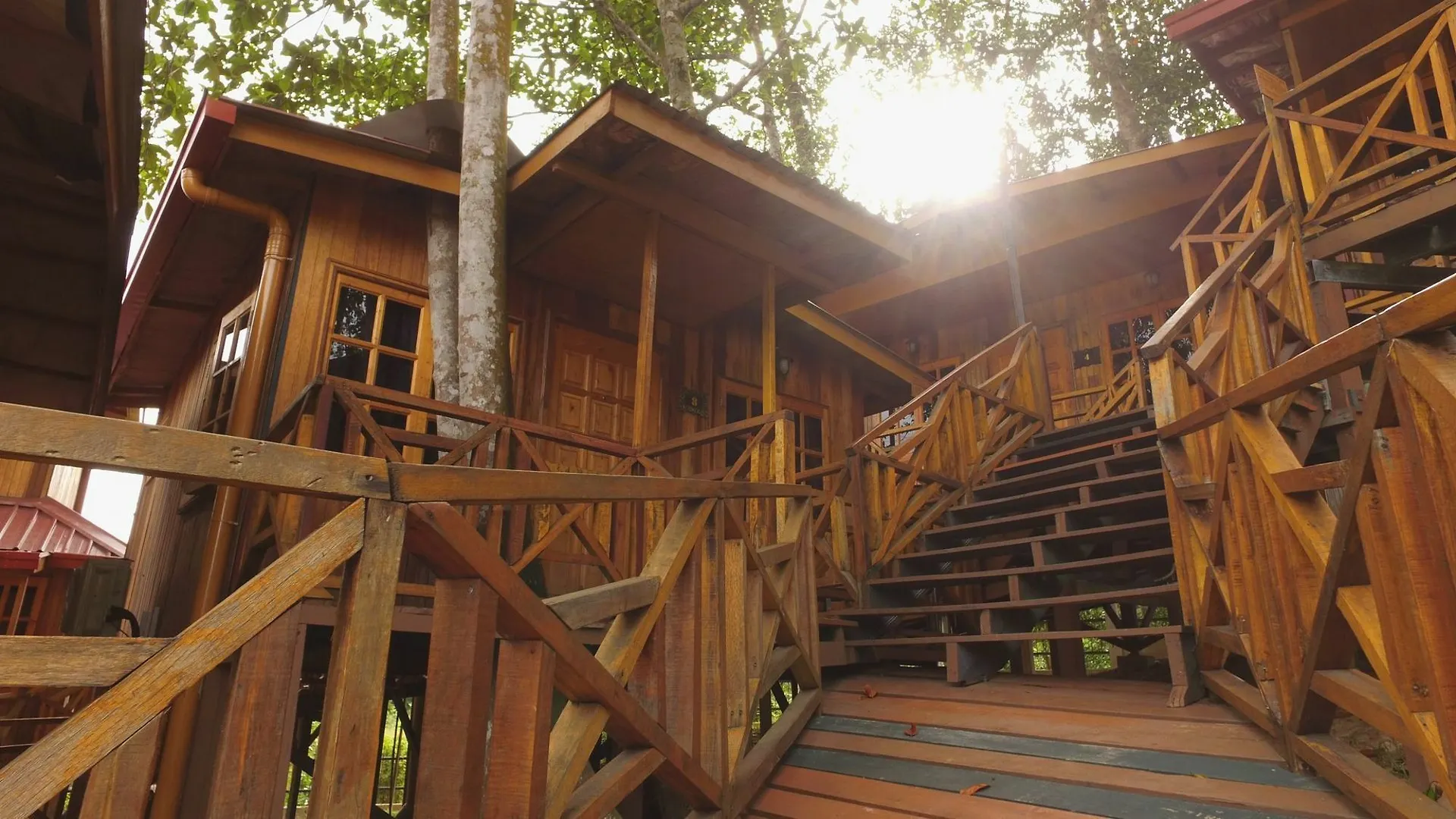 فندق Borneo Tree House كوتا كينابالو